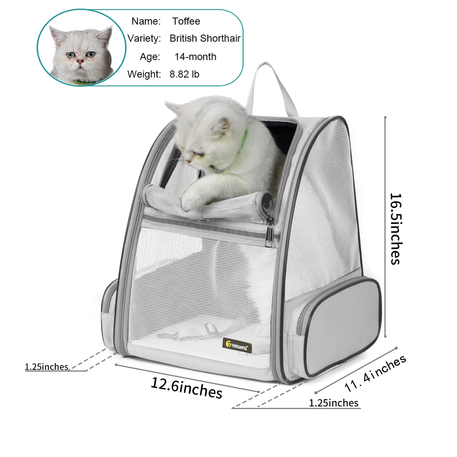 Texsens pet backpack side ventilation view showing airflow during walks.