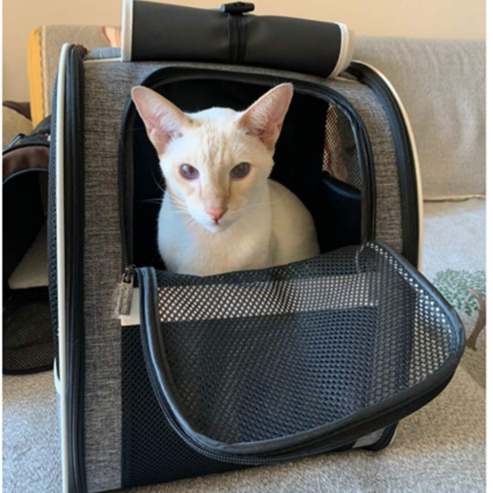 Texsens Pet Carrier Backpack dimensions 13x10x16 fit small cats and dogs.