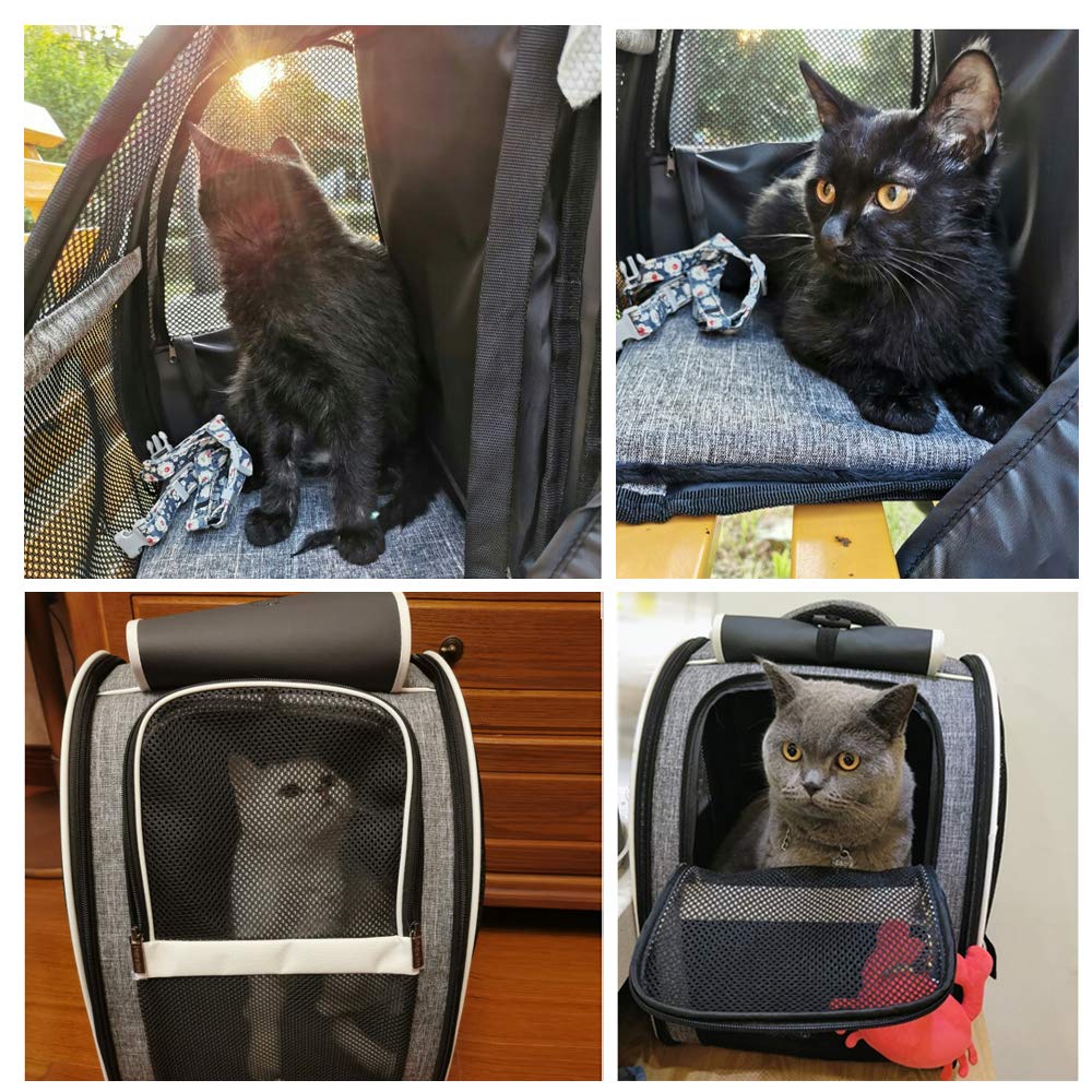 Texsens Pet Carrier Backpack removable mat simplifies cleaning after adventures.