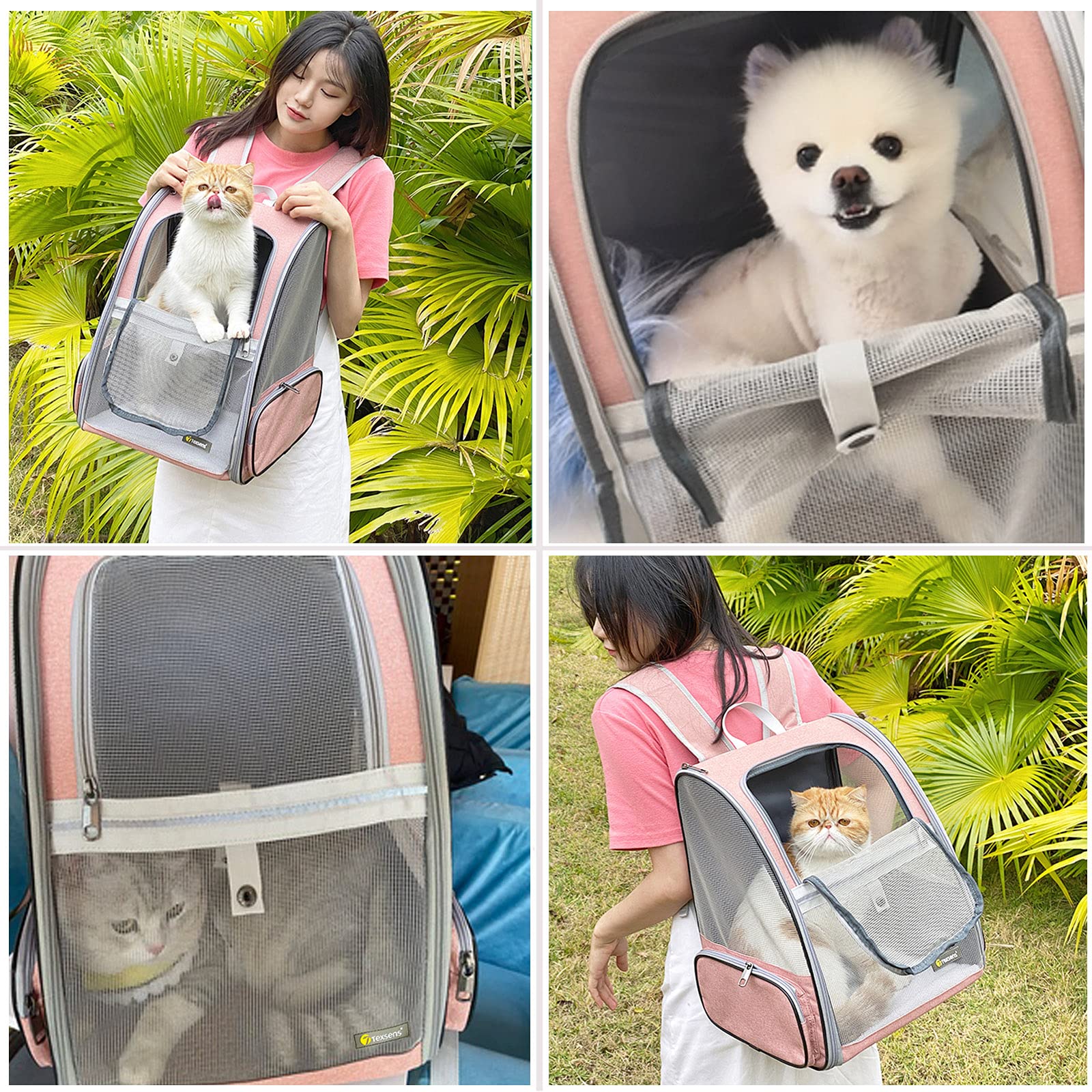 Texsens Traveler Bubble Backpack dimensions fit dogs up to 15 lbs or cats up to 18 lbs.