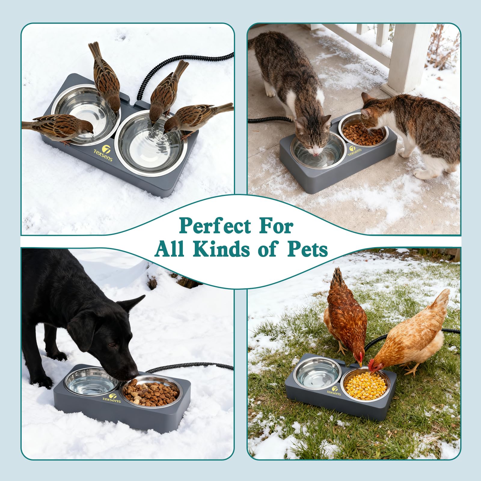 Texsens winter feeding station supports outdoor pets in sheltered areas during cold weather.