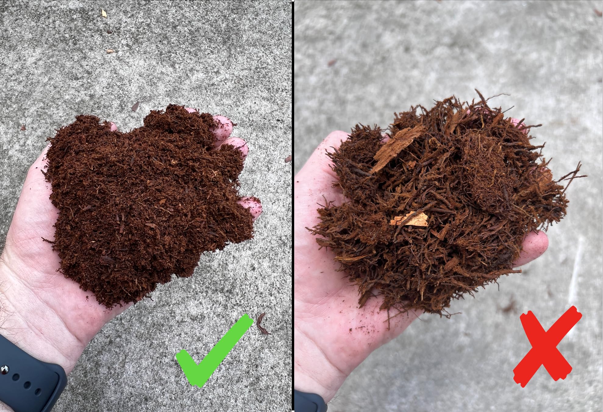 Tezula Plants debris-free tree fern fiber closeup highlighting uniform texture for consistent mixes