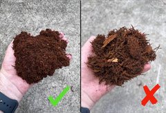 Tezula Plants debris-free tree fern fiber closeup highlighting uniform texture for consistent mixes