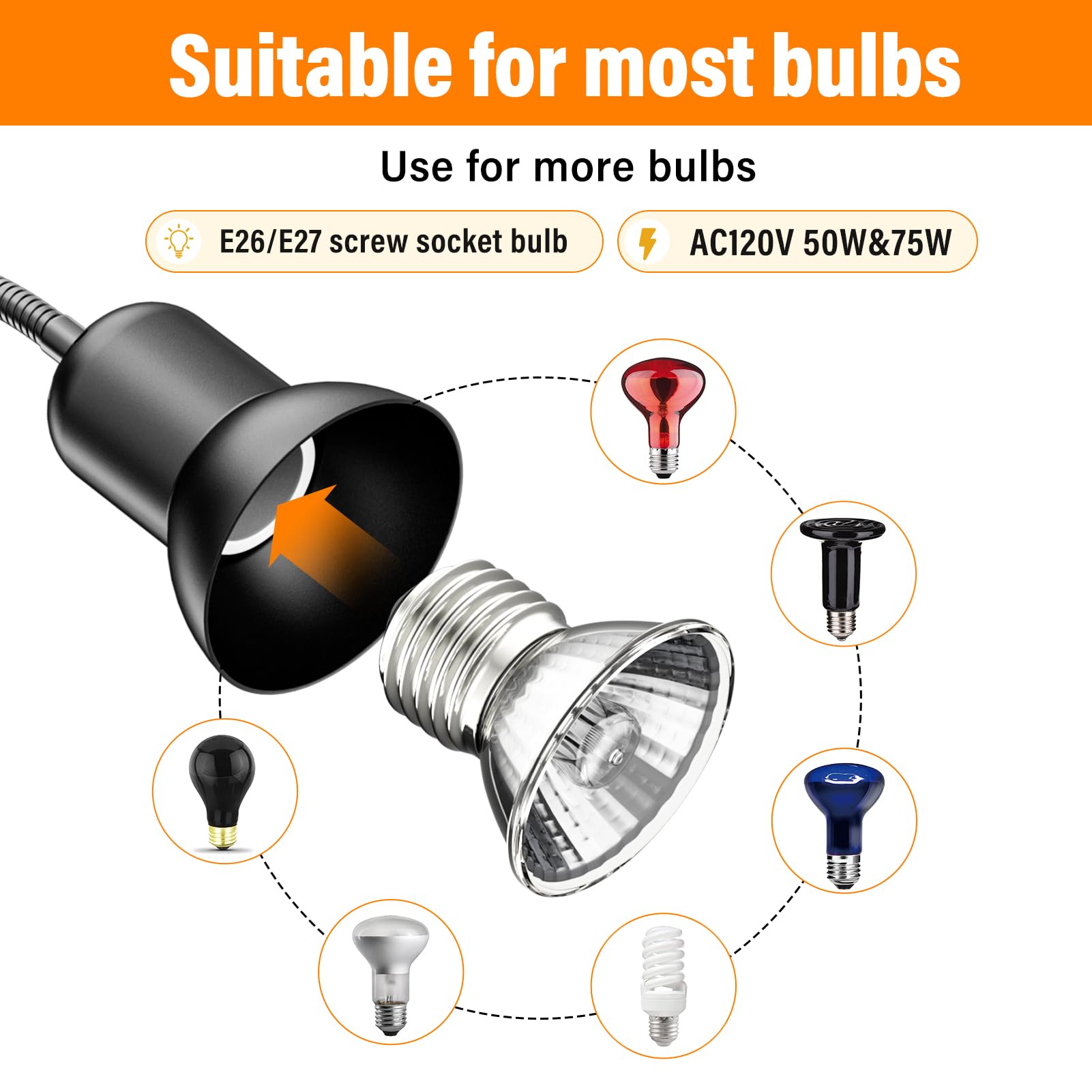 TFNN Reptile Heat Lamp uses 50W and 75W bulbs for effective heat