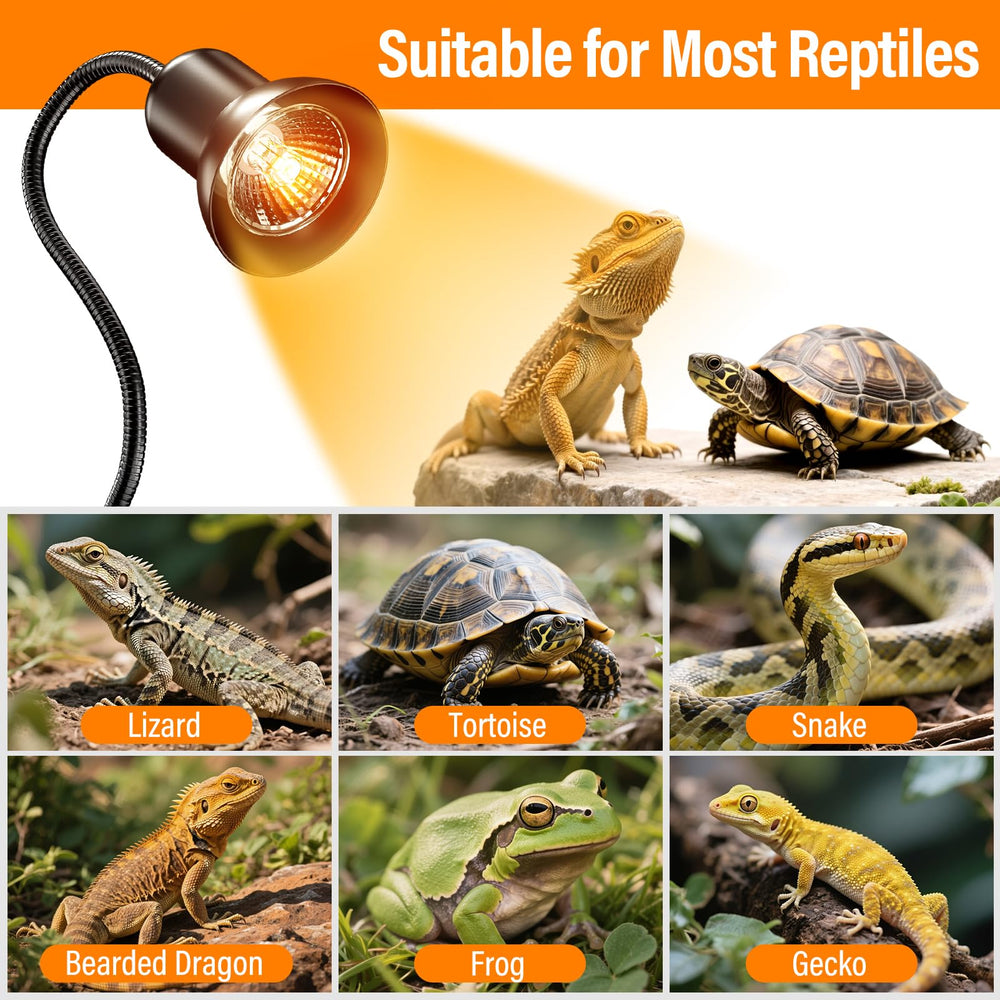 TFNN Reptile Heat Lamp suits turtles, bearded dragons, and lizards