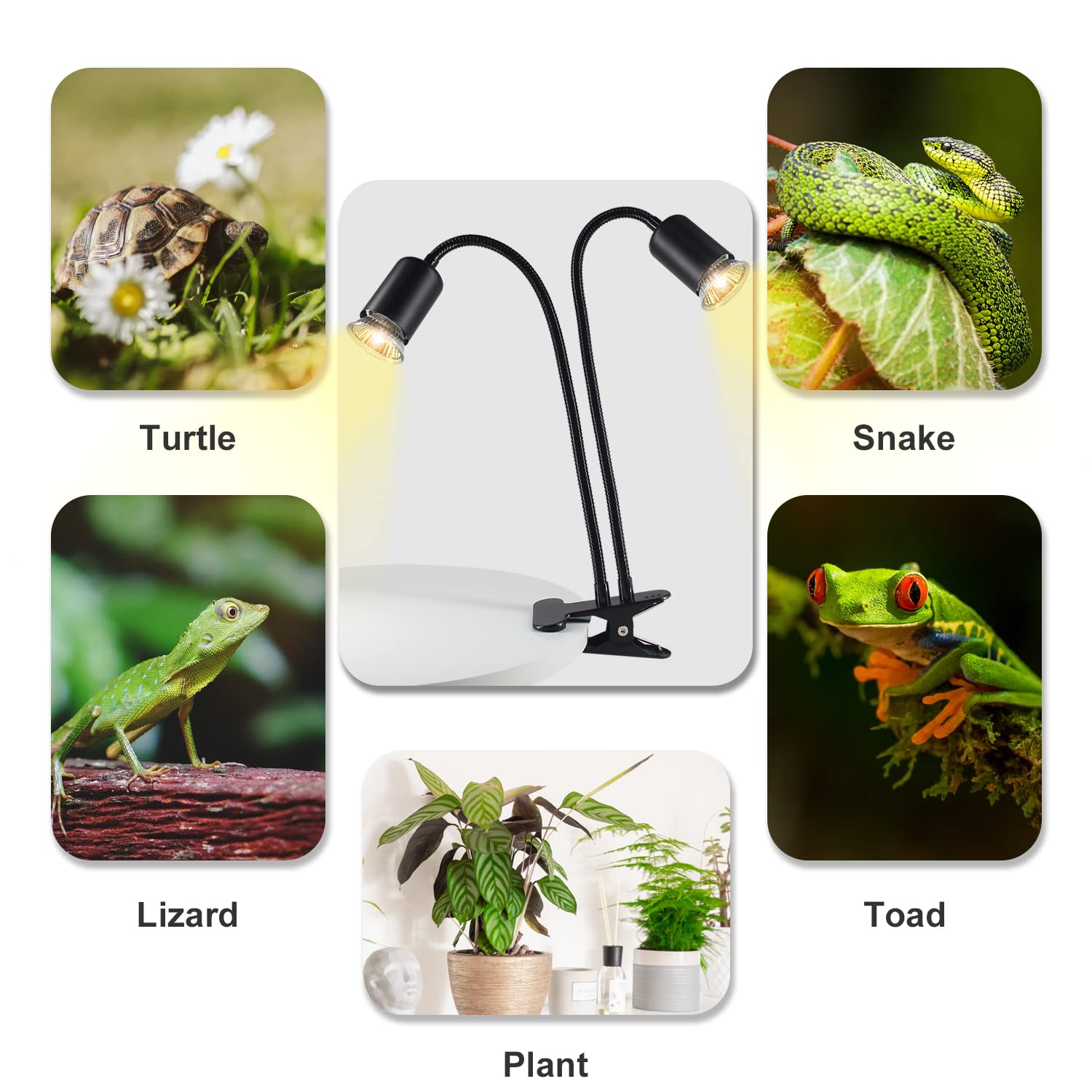 TFNN reptile heat lamp two bulbs 25W and 50W enable customizable basking options