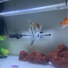 Tfwadmx stones sit stably on the tank bottom without floating