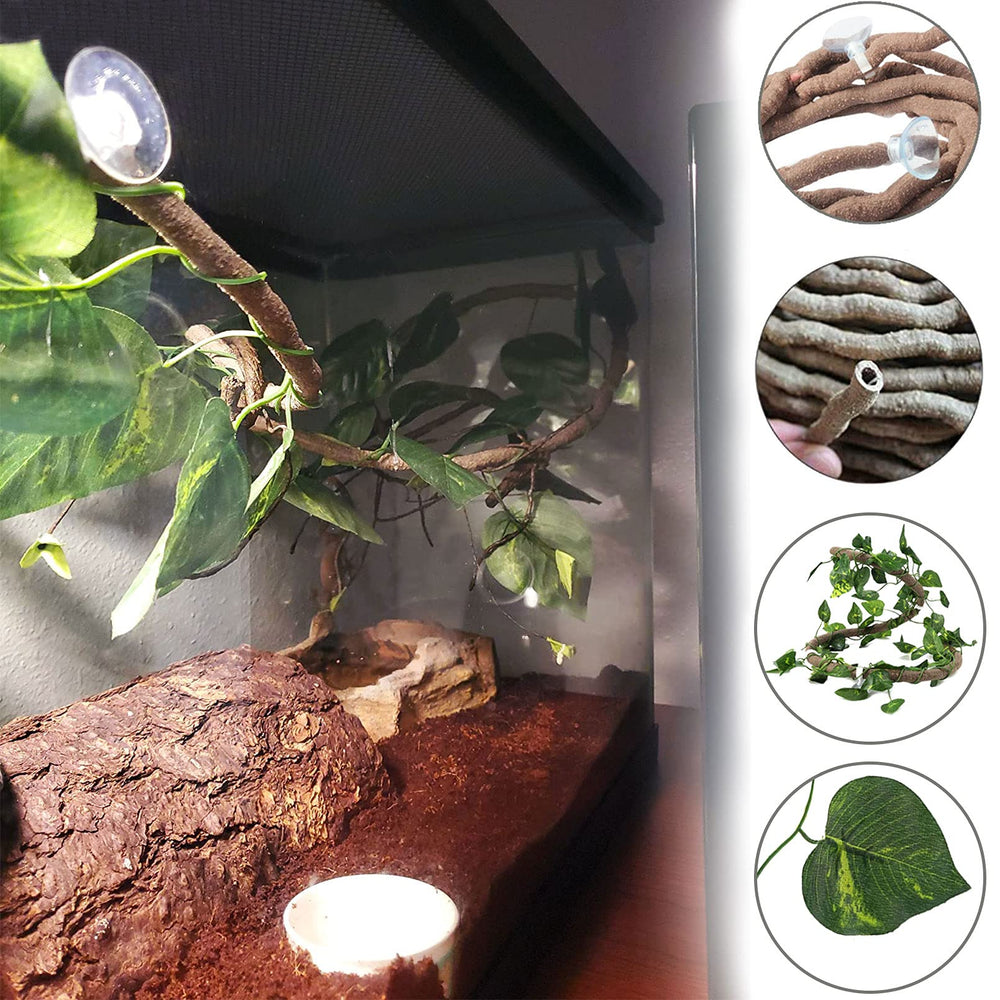 Tfwadmx bearded dragon terrarium setup adds natural decor and climbing.