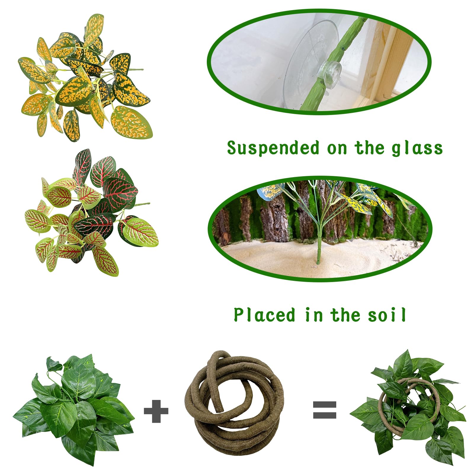 Tfwadmx big leaves add dramatic visual interest and cover for the tank.