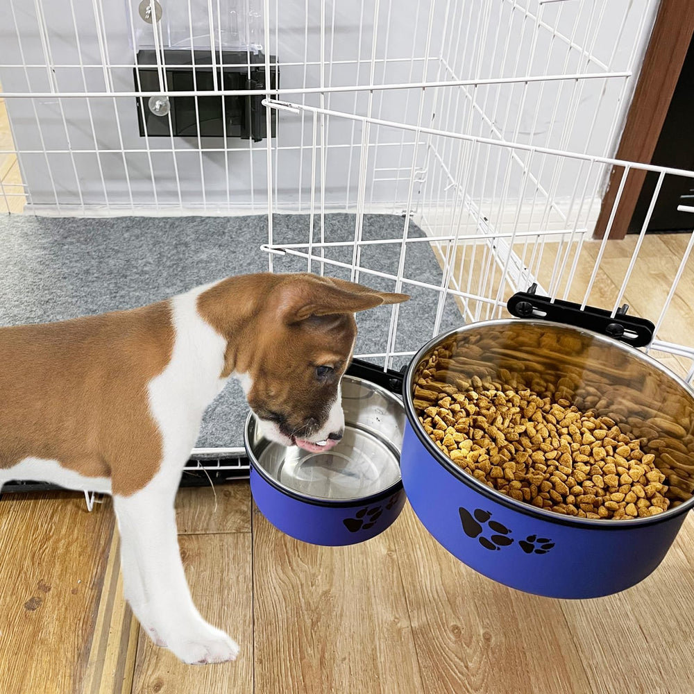 Tfwadmx blue bowls in size M for puppies and cats