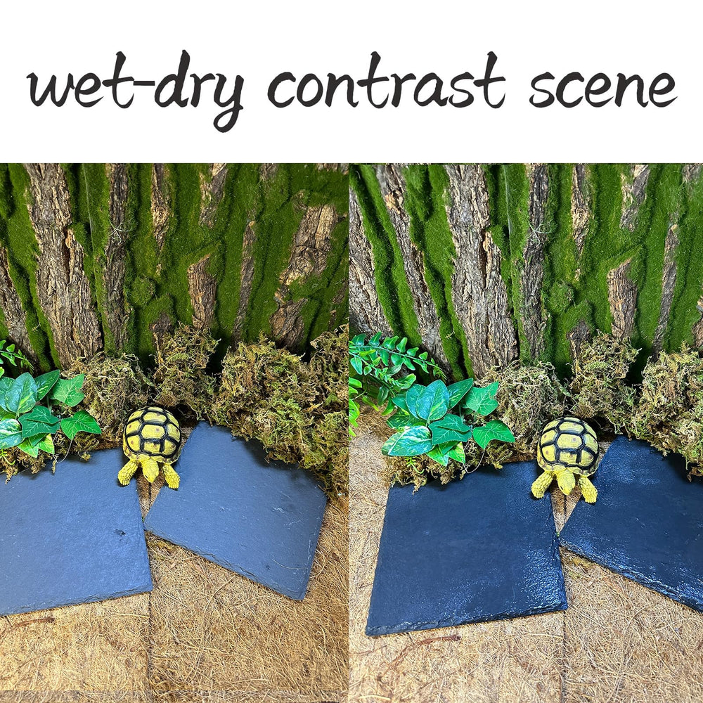 tfwadmx dual-purpose bowl and basking tile that supports multiple species