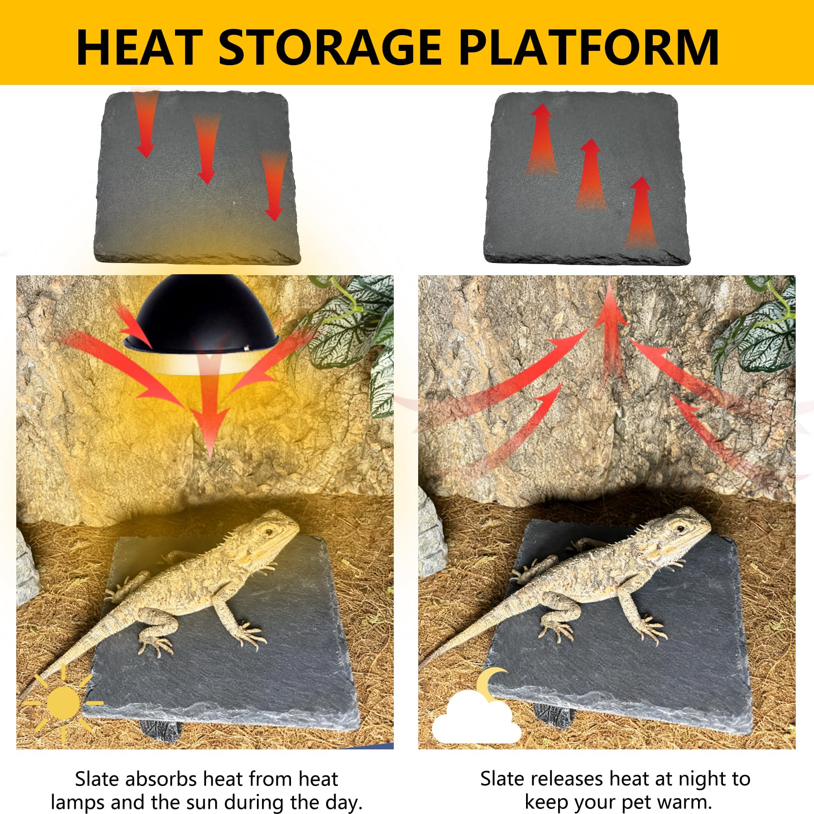 tfwadmx easy-clean reptile bowl simplifies cleaning and habitat maintenance