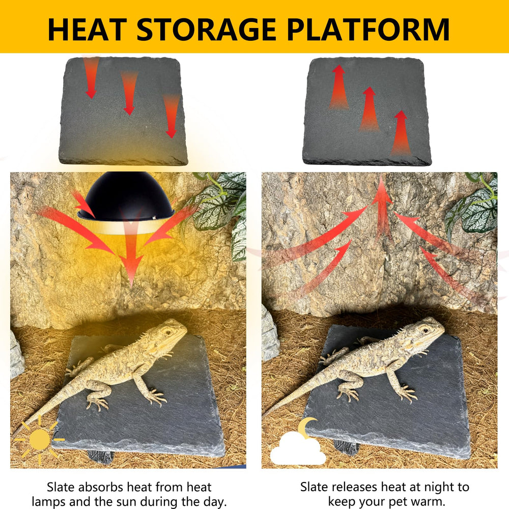 tfwadmx easy-clean reptile bowl simplifies cleaning and habitat maintenance