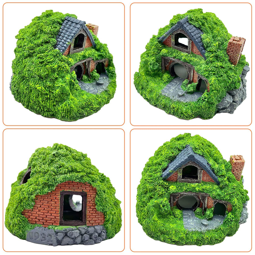 Tfwadmx green-reef base creates cohesive aquarium ambiance and supports decor