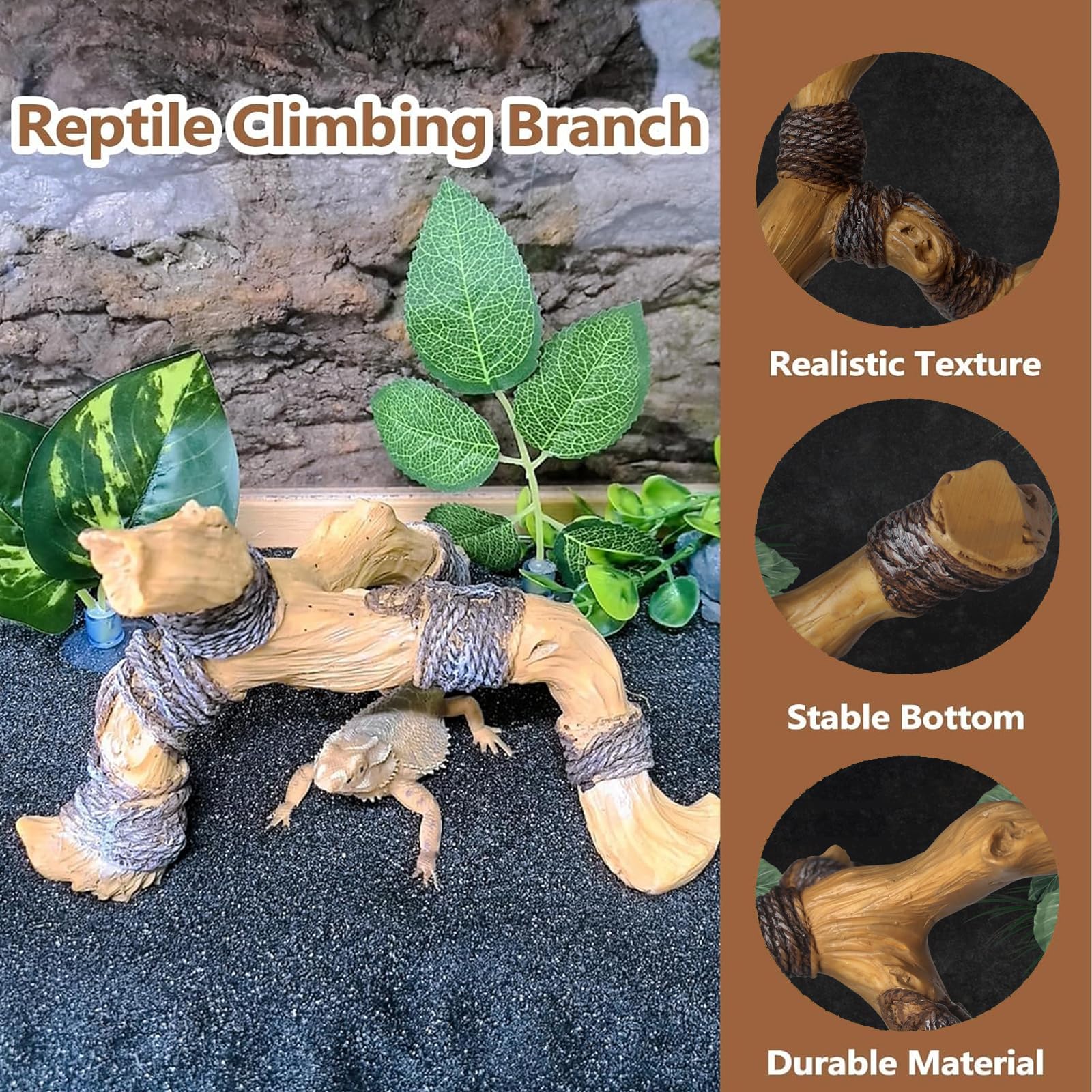 Tfwadmx hermit crab climbing branch provides stable three-point support for steady exploration.