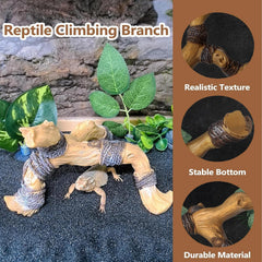 Tfwadmx hermit crab climbing branch provides stable three-point support for steady exploration.