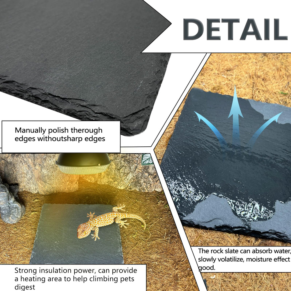 tfwadmx moisture-absorption plate keeps area dry and clean during meals