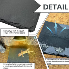 tfwadmx moisture-absorption plate keeps area dry and clean during meals