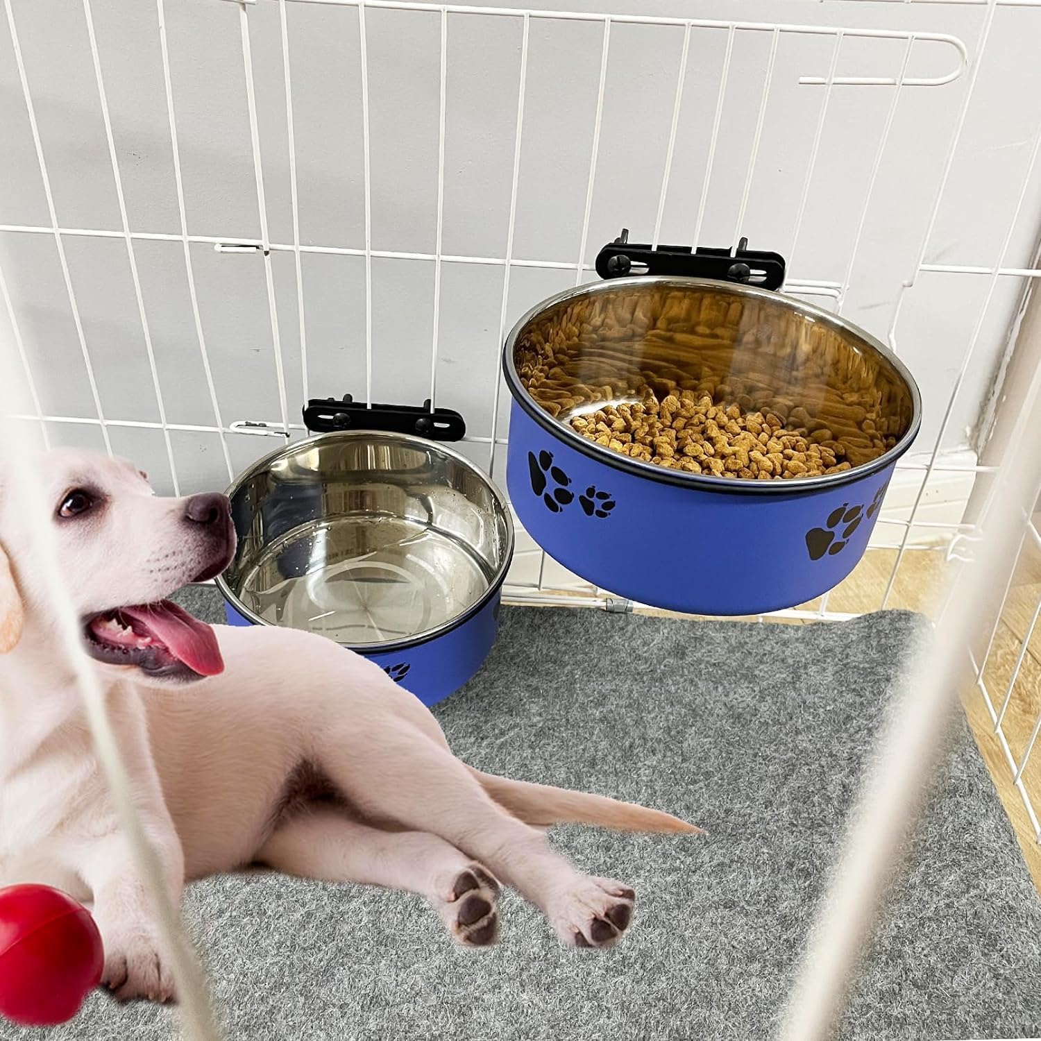 Tfwadmx puppy, cat, bunny friendly design supports versatile feeding.