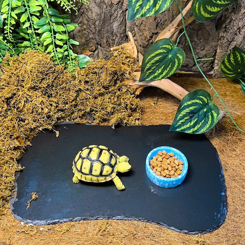 Tfwadmx reptile rock slate blends with terrarium decor while offering basking and feeding surface.