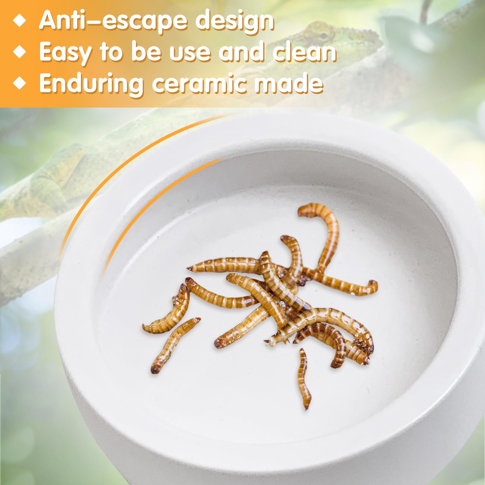 Tfwadmx reptile bowl dual-use for food and water in one setup