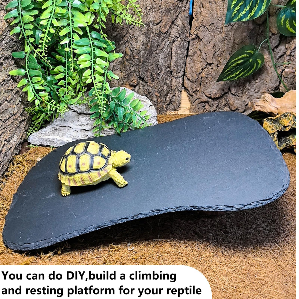 Tfwadmx reptile platform rough edges hand polished for safety.