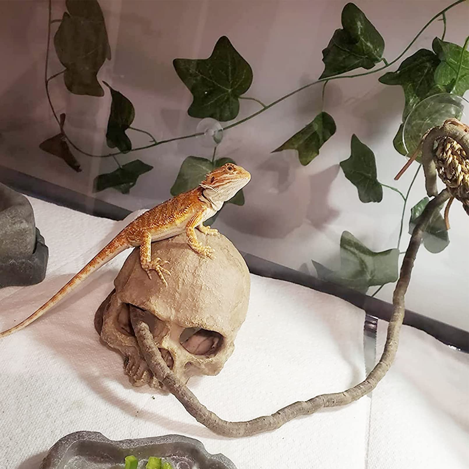 Tfwadmx leaves provide realistic foliage that resists fading for long-term setup.