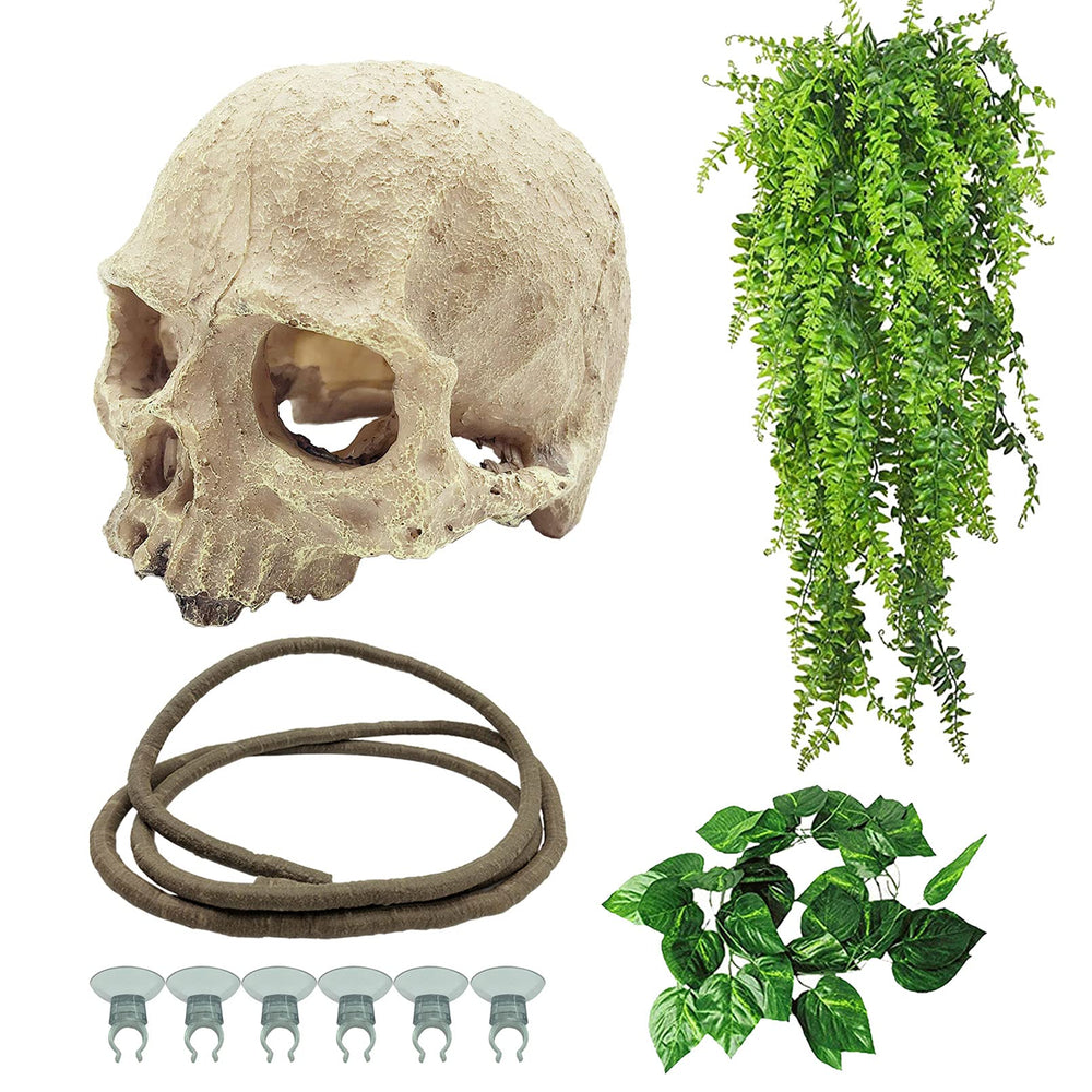Tfwadmx reptiles skull hide offers secure shelter for small reptiles in terrariums.