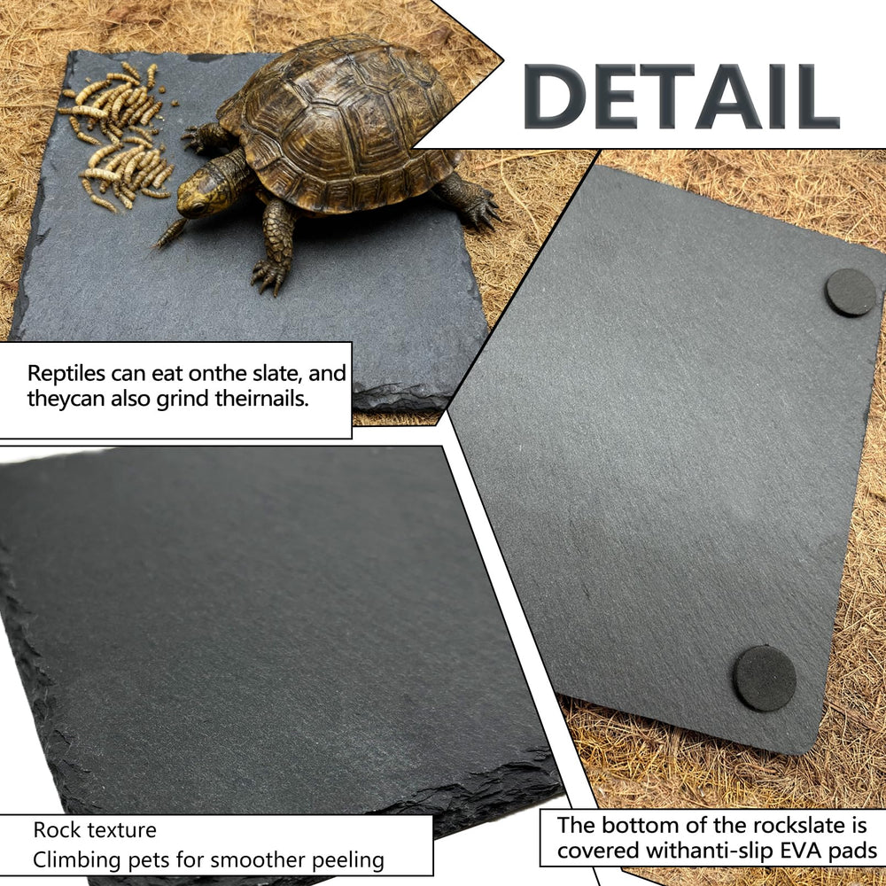 tfwadmx rock dish with non-slip pads demonstrating secure feeding surface