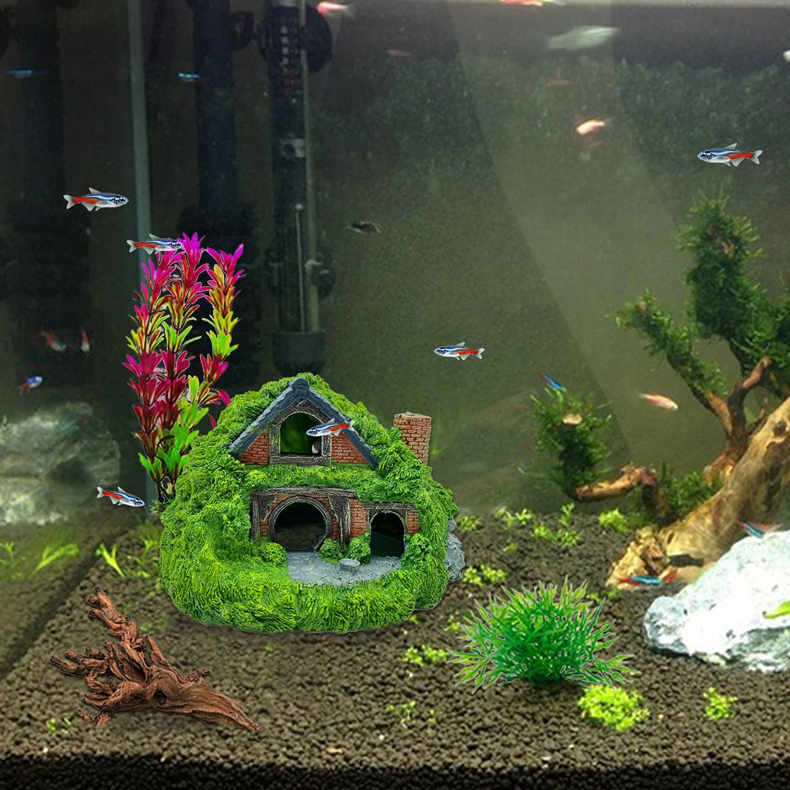 Tfwadmx small-fish play-area cave invites exploration and gentle hiding