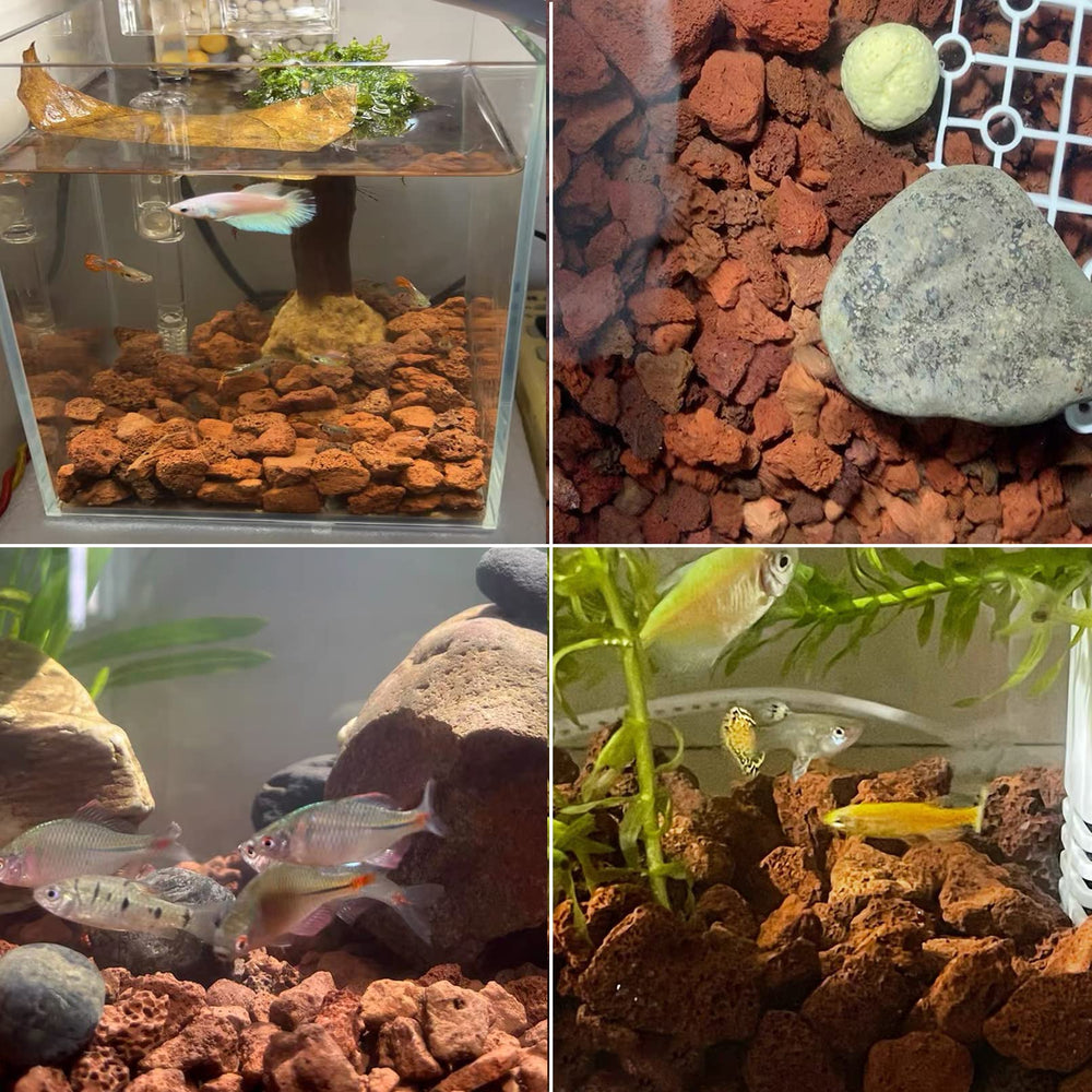 Tfwadmx stones rinse-prep ensures cleaner setup before tank addition.