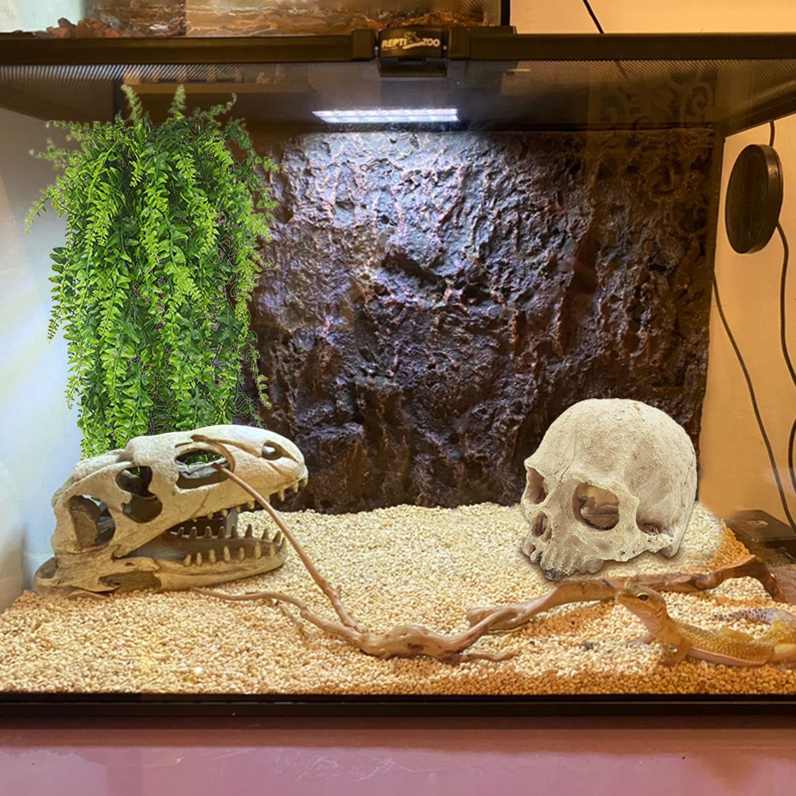 Tfwadmx terrarium decoration scene showcases spooky yet safe habitat accents.