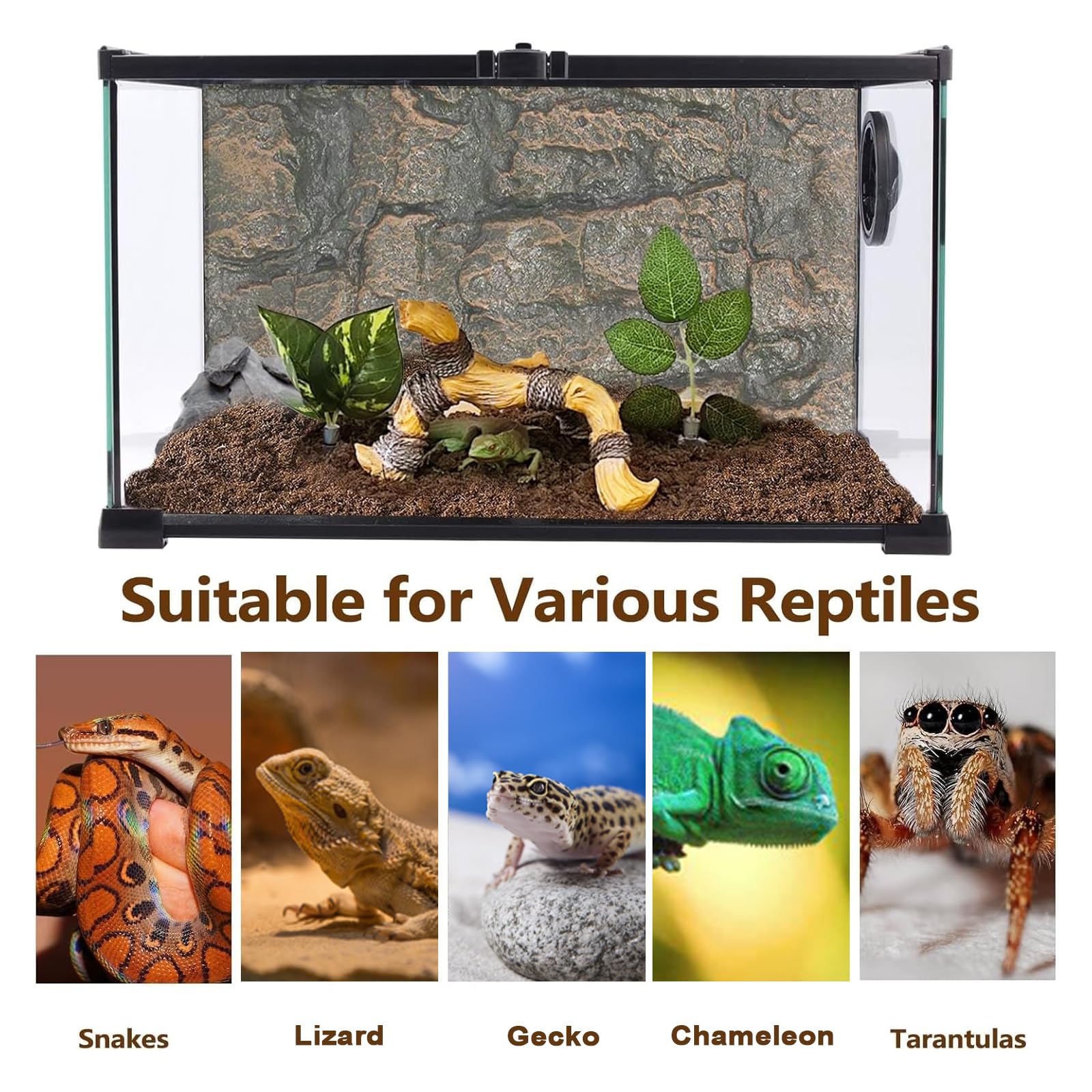 Tfwadmx terrarium accessory leaf decor adds dimensional detail and visual interest to habitats.