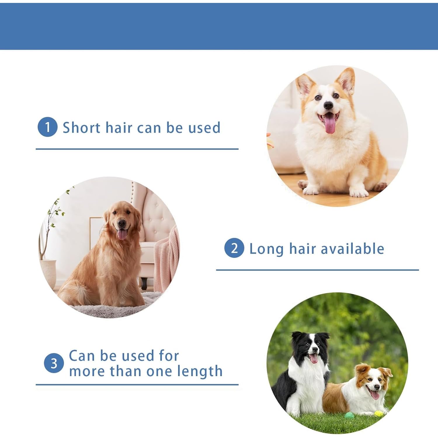 TGSBHIO replacement blade packaging image emphasizing compatibility with nebot P1 Pro.