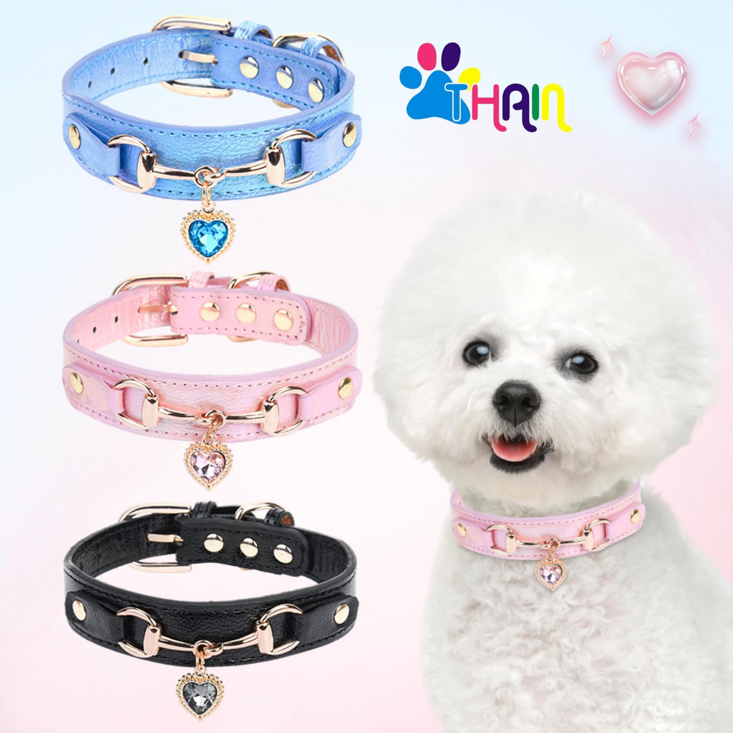 THAIN blue collar on dog-model highlights color variety for fashion-forward pets.