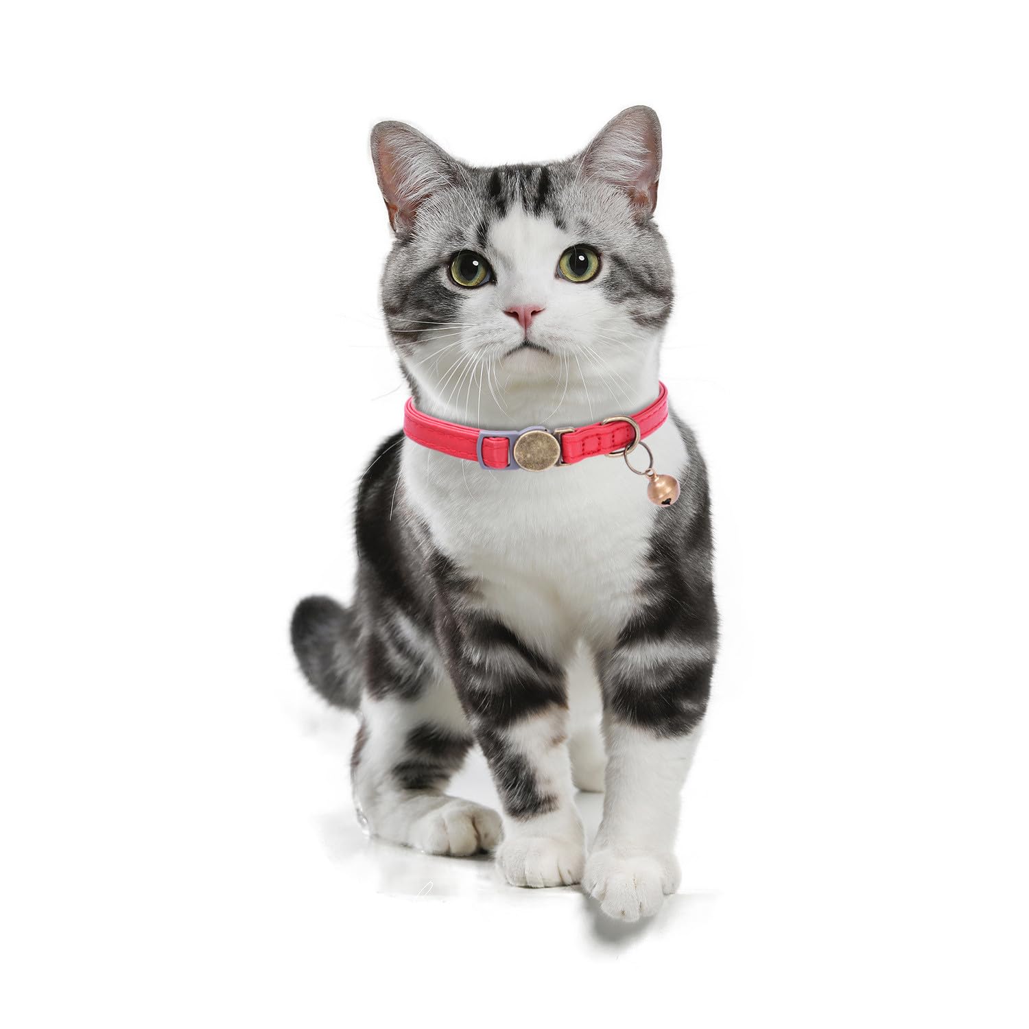 THAIN leather cat collar pink worn by cat for stylish daily use