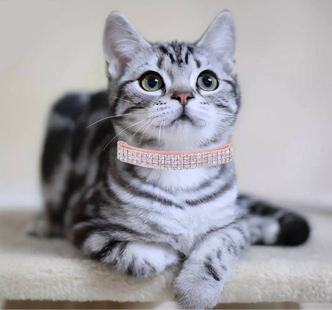 THAIN three-line rhinestones collar pink sparkling in light