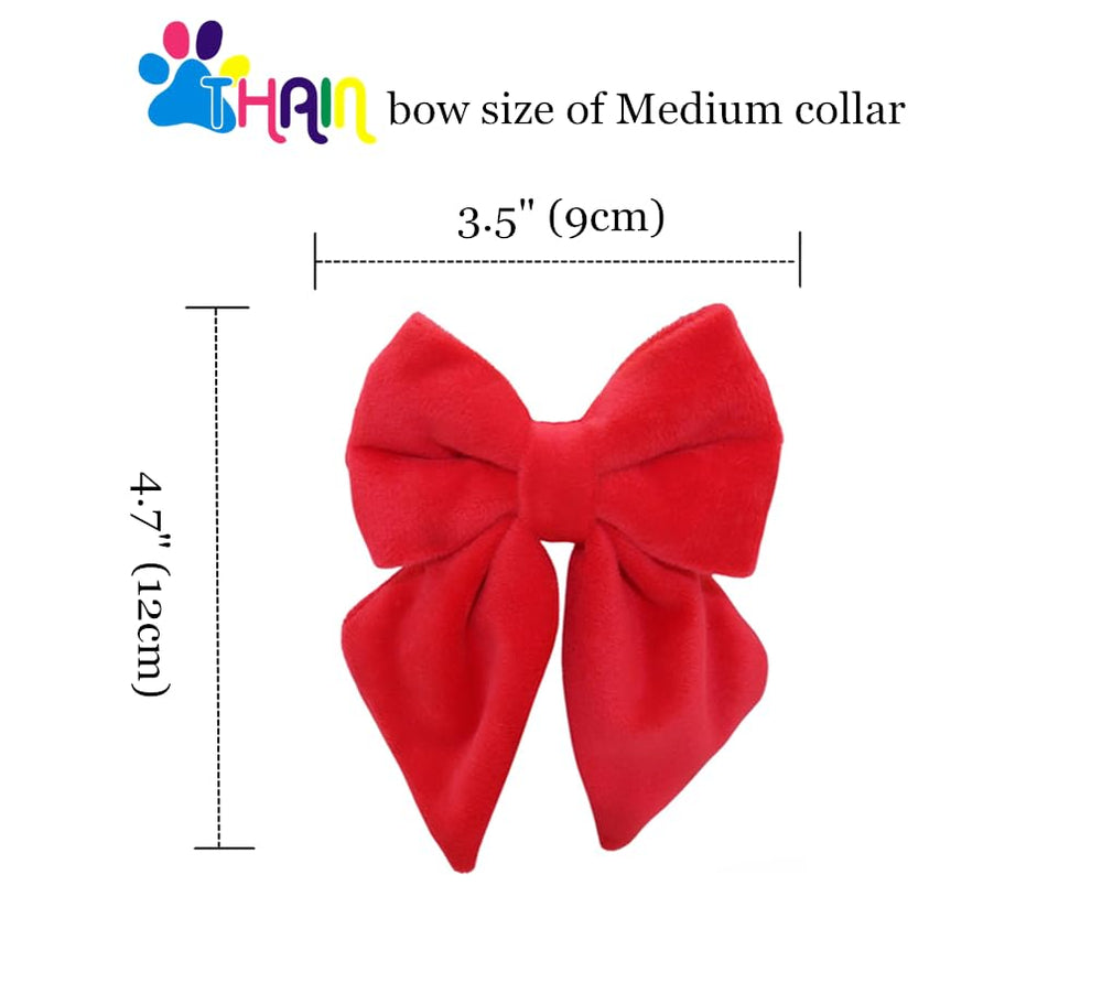 THAIN velvet dog collar adjustable sizes with D-ring for tags