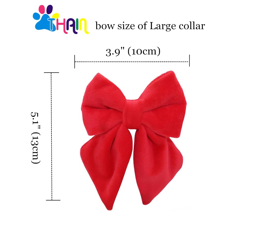 THAIN velvet collar adjusts for necks from small to large.