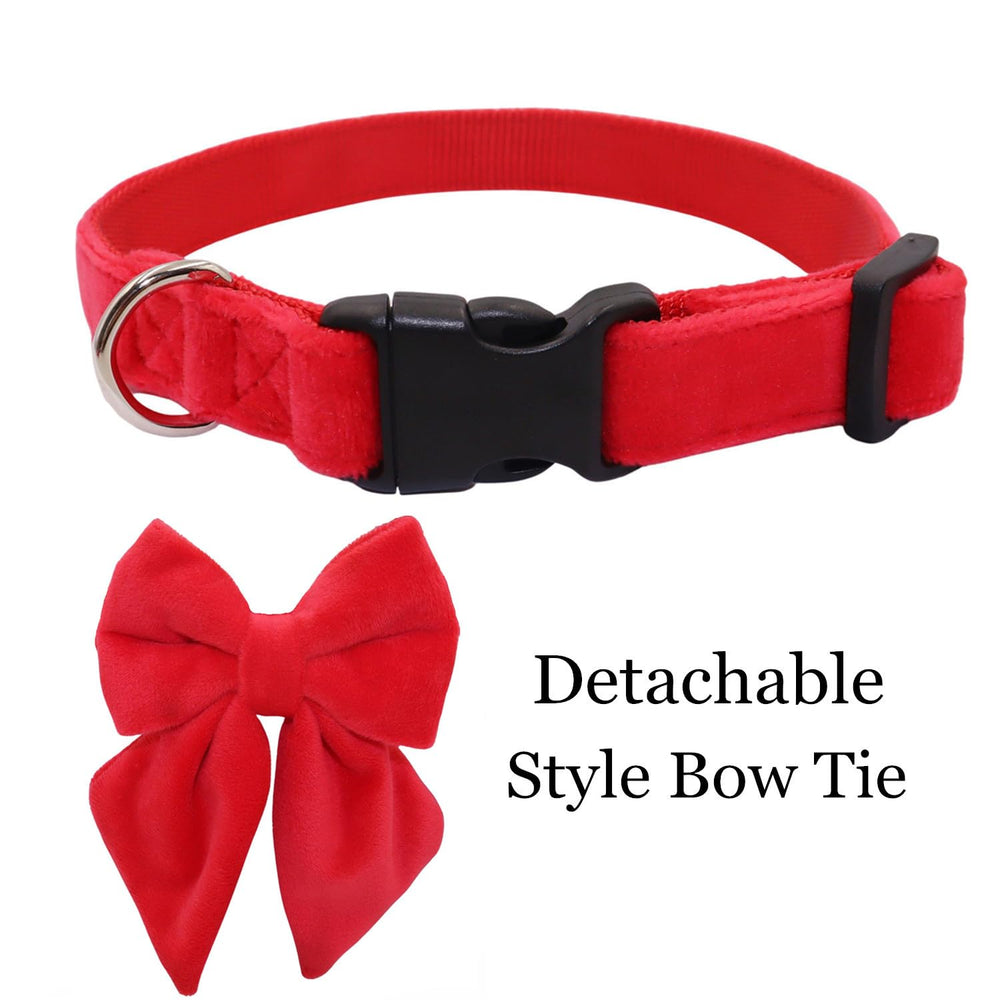 THAIN velvet dog collar with quick-release buckle for easy on/off during walks