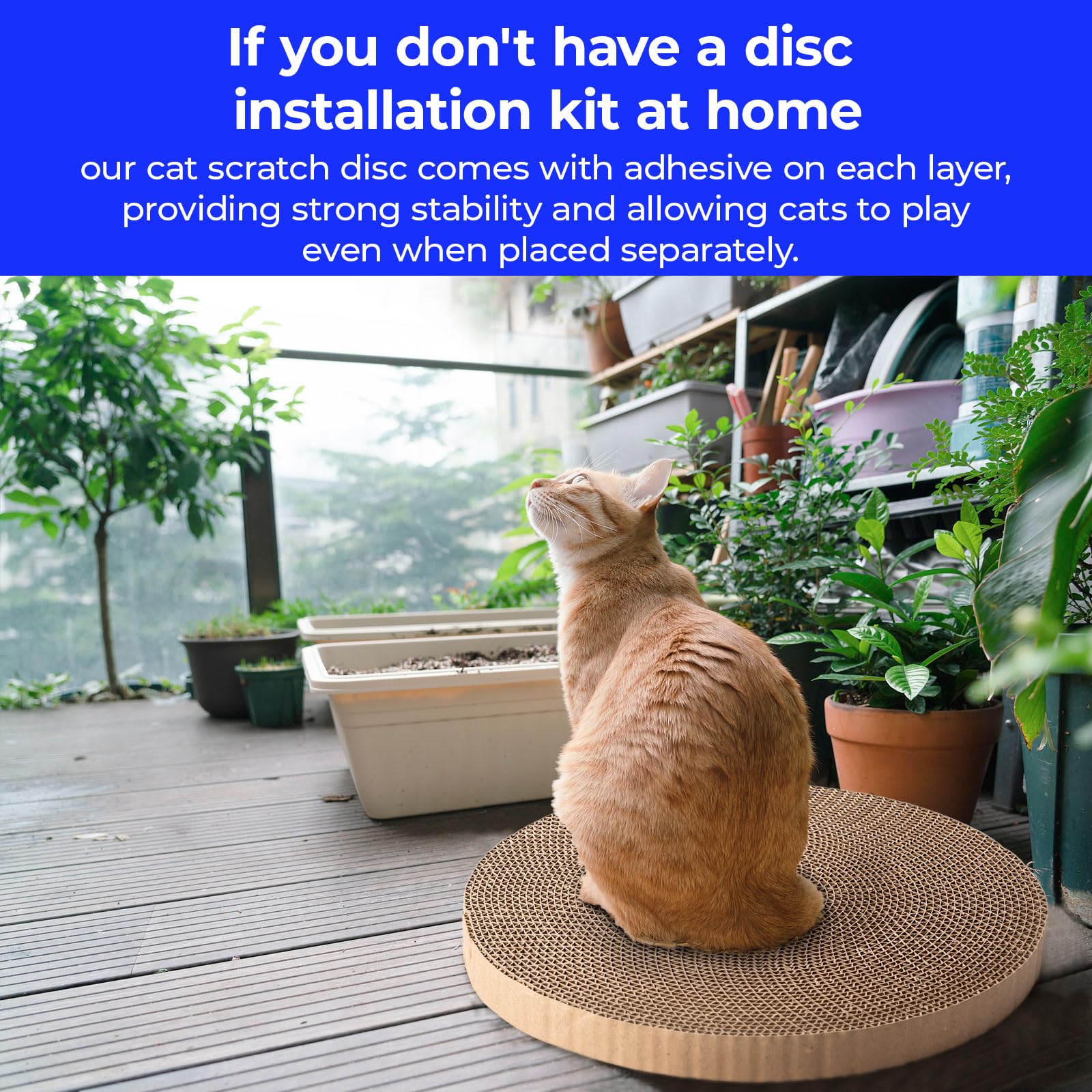 THAMIAO eco-friendly recycled cardboard surface for claw care