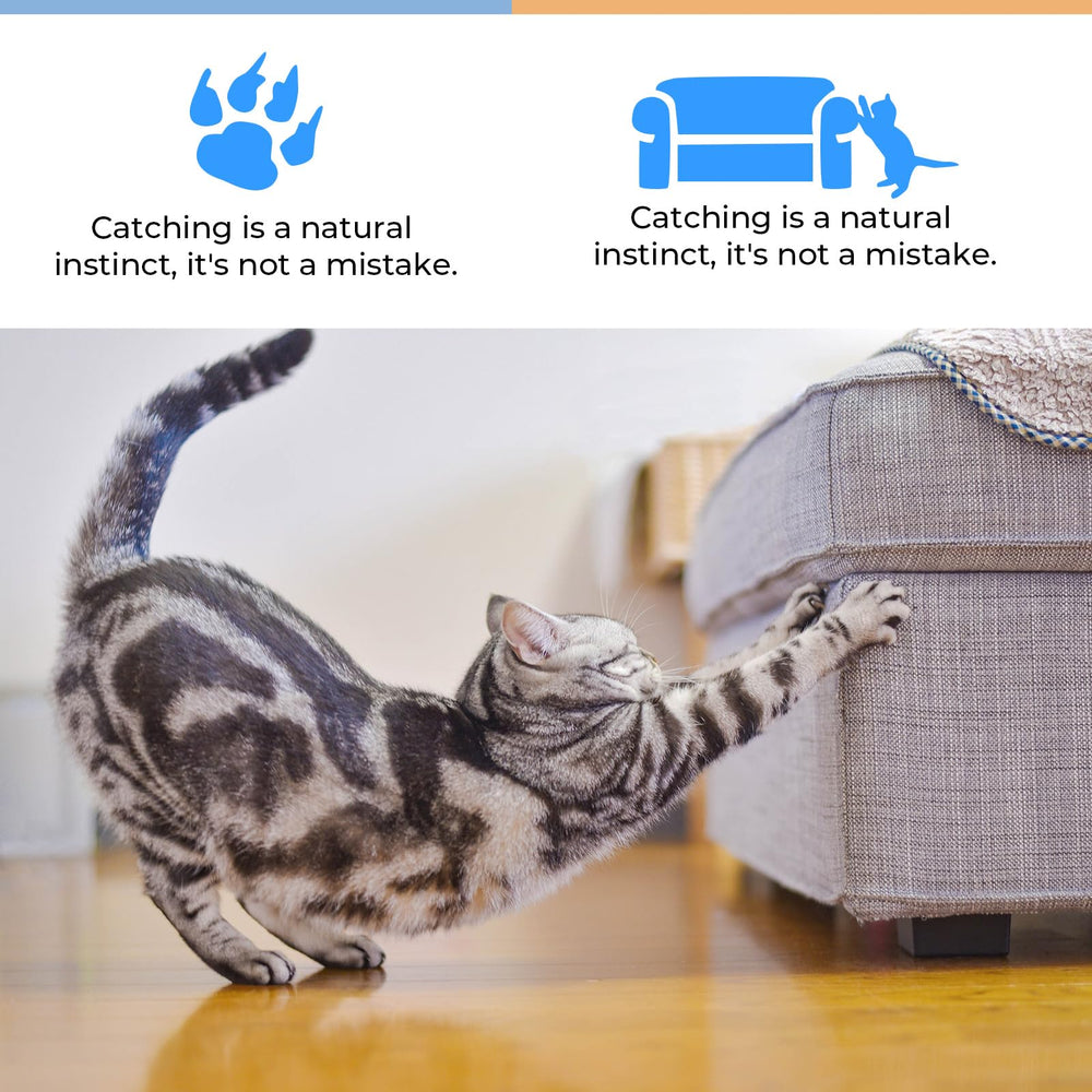 THAMIAO furniture-protecting scratcher redirecting cats to acceptable scratching