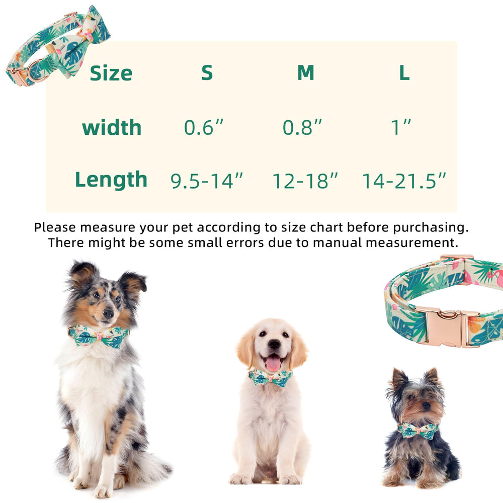 Thankspaw avocado-pattern collar adding playful color during spring outings