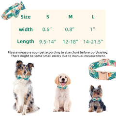 Thankspaw avocado-pattern collar adding playful color during spring outings