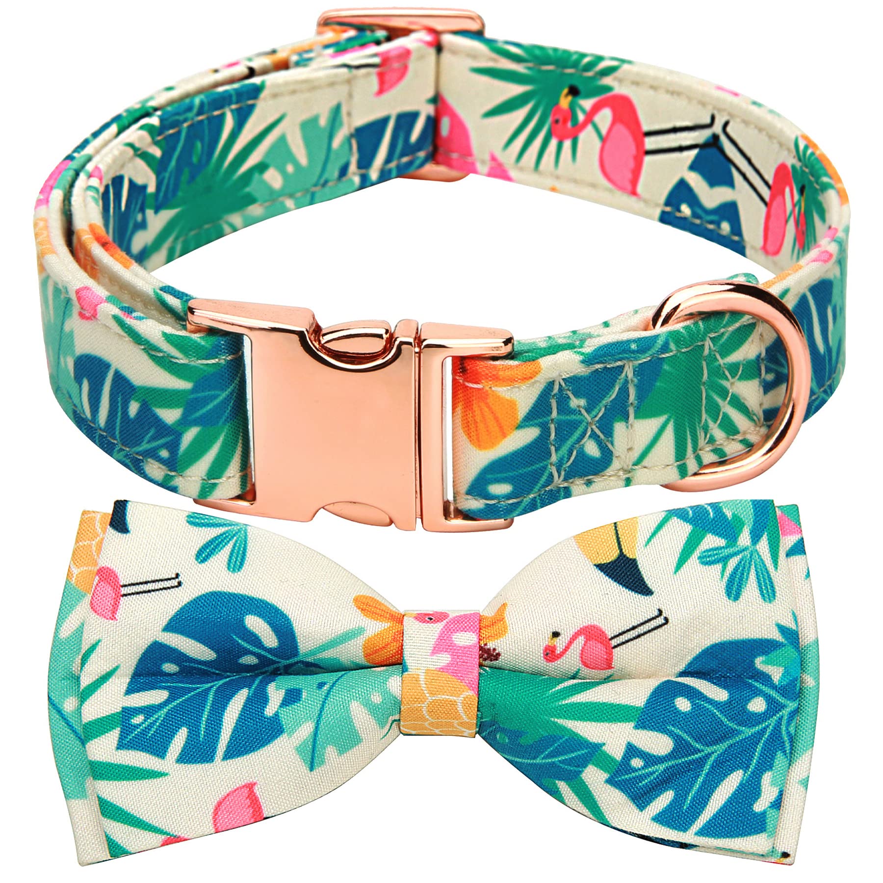 Thankspaw floral-pattern collar shown on a dog for daily walks and photoshoots