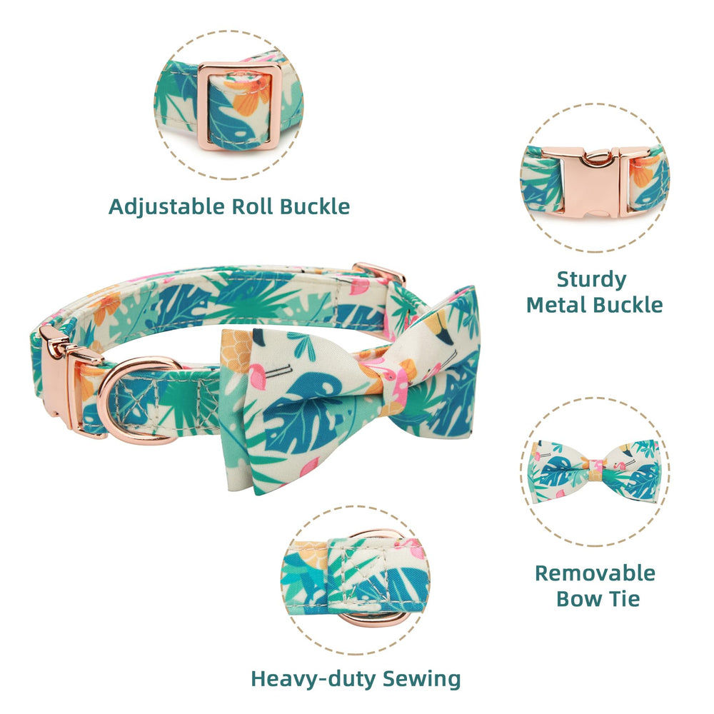 Thankspaw honeybee-pattern collar for cheerful park visits and training