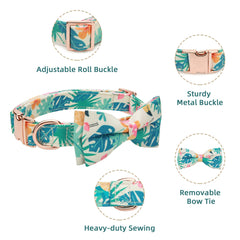 Thankspaw honeybee-pattern collar for cheerful park visits and training