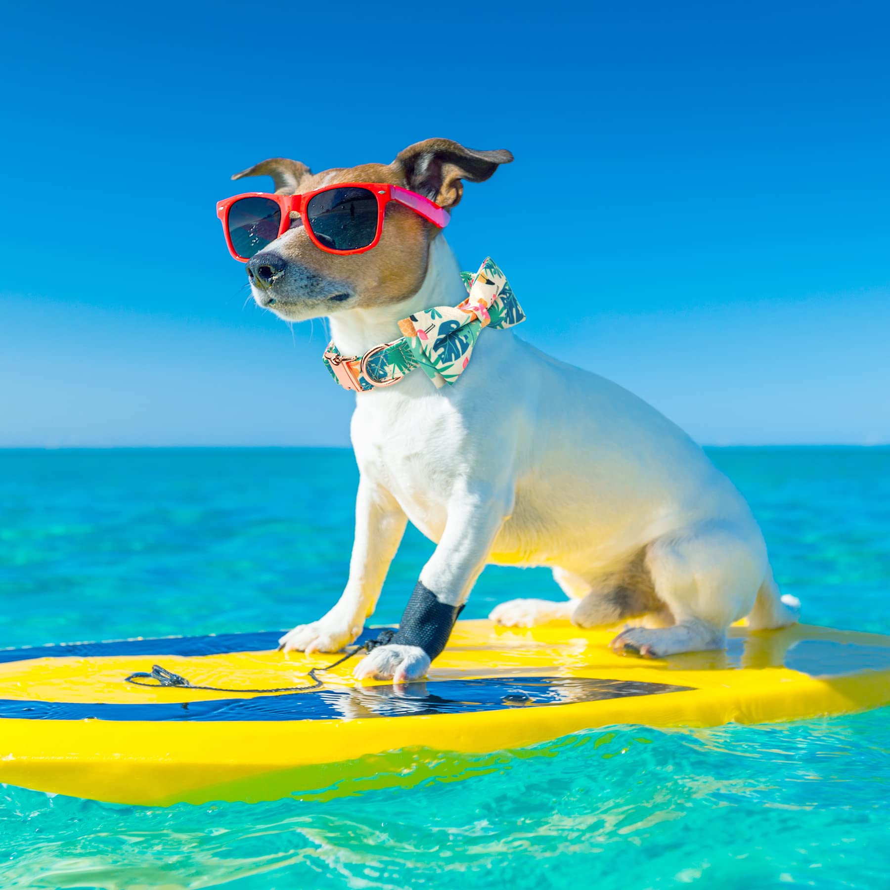 Thankspaw us-flag-pattern collar for festive holidays and events