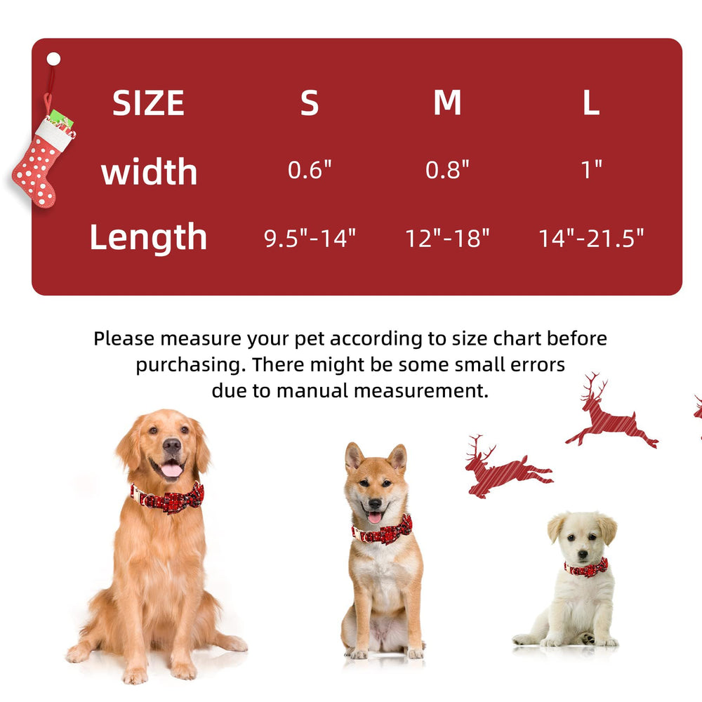 Thankspaw heavy-duty buckle and D-ring withstands gentle pulling during walks.