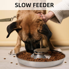 Thankspaw dishwasher-safe puppy bowls enable quick cleanup after meals.